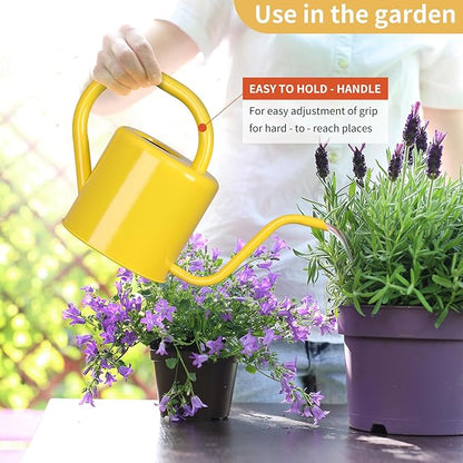 Watering Can, Stainless Steel Watering Can for Indoor & Outdoor Plants, 1L/35oz Long Spout Water Can with Handle, Rust-Proof Plant Watering Pot for House Plants, Garden Flowers