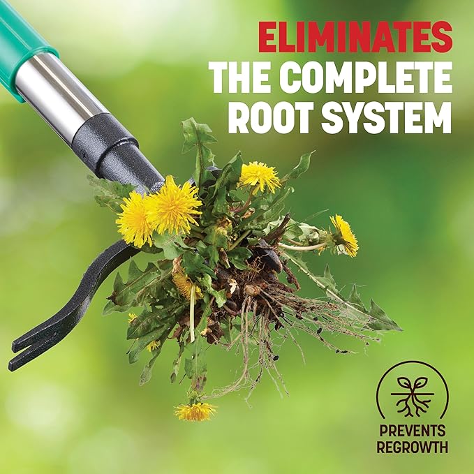 Papa's Tools Weed Puller Tool, 44" Stand Up Weeder Garden Tools & 4 Claw Steel Head, Dual Weed Eject Tech. Made with Real Bamboo & Long Wooden Handle, Yard Weeding Remover for Gardening Men & Women