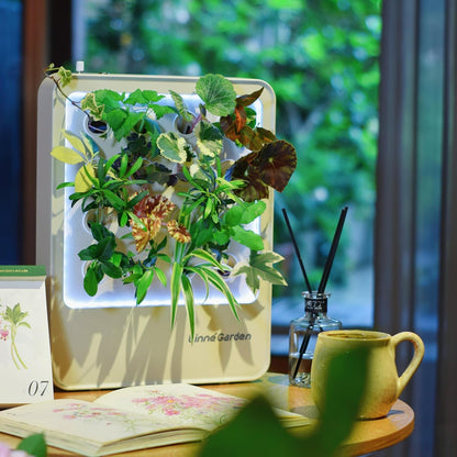 Indoor Garden Hydroponic System with LED Grow Light Indoor herb Garden, Indoor Garden Hydroponic System with LED Grow Light (White)