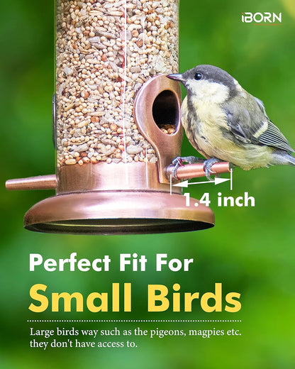 iBorn Metal Bird Feeder Hanging Wild Bird Feeders for Mix Seed Blends Heavy Duty All Metal Finishing, Copper Finish, 8 Inch 2 Port (Seed is not Included)