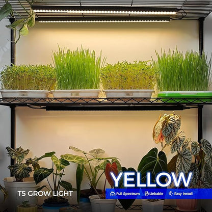 Barrina T5 Plant Grow Lights for Indoor Growing, 2FT 80W (8 x 10W) Full Spectrum LED Grow Light, Black Cover Growing Light Strips with Switch, Magnetic Installation, Plug and Play, Yellow, 8 Packs