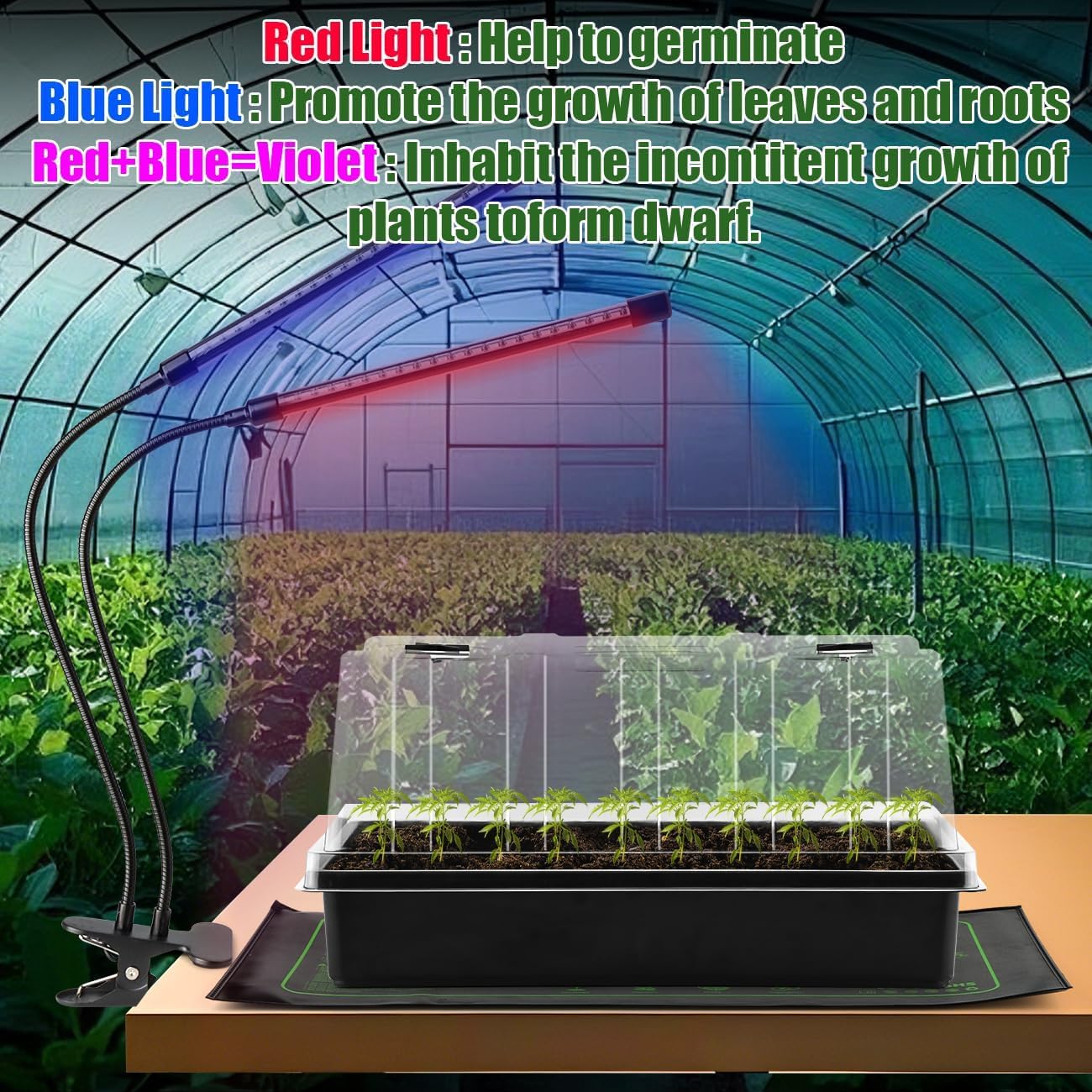 Seed Starter Trays with LED Lights and Heat Mat - 4p Seedling trays with 5" Higher Humidity Domes, 2p Flexible Grow Lights and 2p Constant Temperature Heating Mats, Propagation Tray for Planting Seed