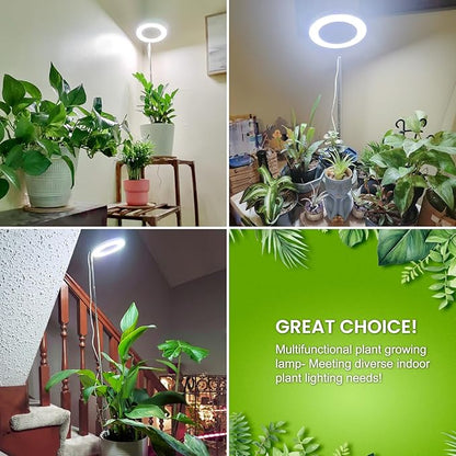 Grow Lights for Indoor Plants Full Spectrum, 80 LEDs Plant Light for Indoor Growing with 2 Mounting Options, 6/12/16H Timer, 3 Spectrum Modes, 9.8"-37.4" Height Adjustable Desk Grow Lamp