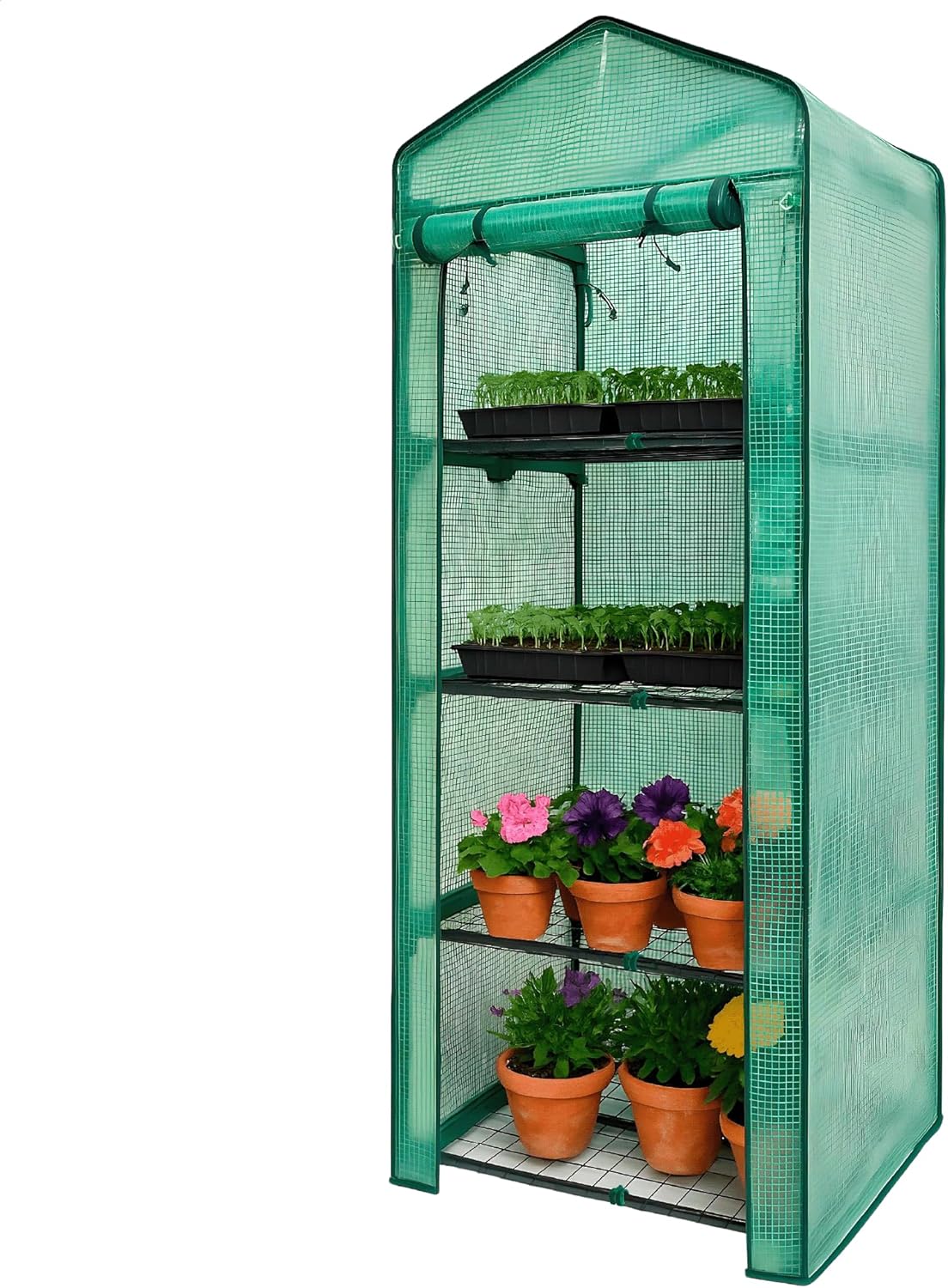 Elly 4-Tier Greenhouse for Indoor Outdoor 63'' H x 27'' L x 19'' W Portable Plant House Stand with Durable PE Cover & UV Protection, Roll-Up Zipper Door, Ideal for Seedlings, Starter Plants