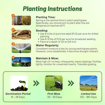 Outsidepride Switchgrass Seed - 25 lbs. Perennial Hardy, Drought & Flood Tolerant Native Grass Seed Ideal Fast-Growing Grasses for Erosion Control, Wildlife Forage & Food Plots, Thrives in Poor Soil