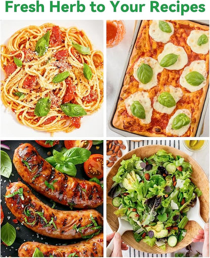 Gourmet Herb Seed Pod Kit Compatible with AeroGarden, idoo, Ahopegarden, Gardencube with Basil, Parsley, Thyme, Mint, Cilantro, Dill, Oregano, Chives - Compatible with All Hydroponics(16-Pod)