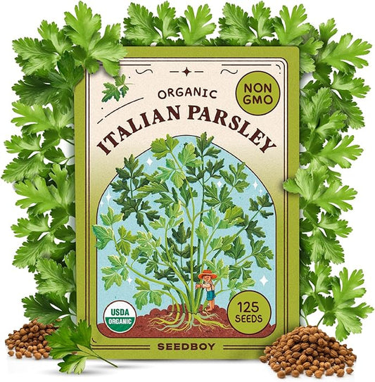 Seedboy Organic Parsley Seeds for Planting Indoor and Outdoor, Non-GMO and USDA Certified Herb Seed Packet for Hydroponic Garden Indoor or Planting Outdoors (Italian Parsley)
