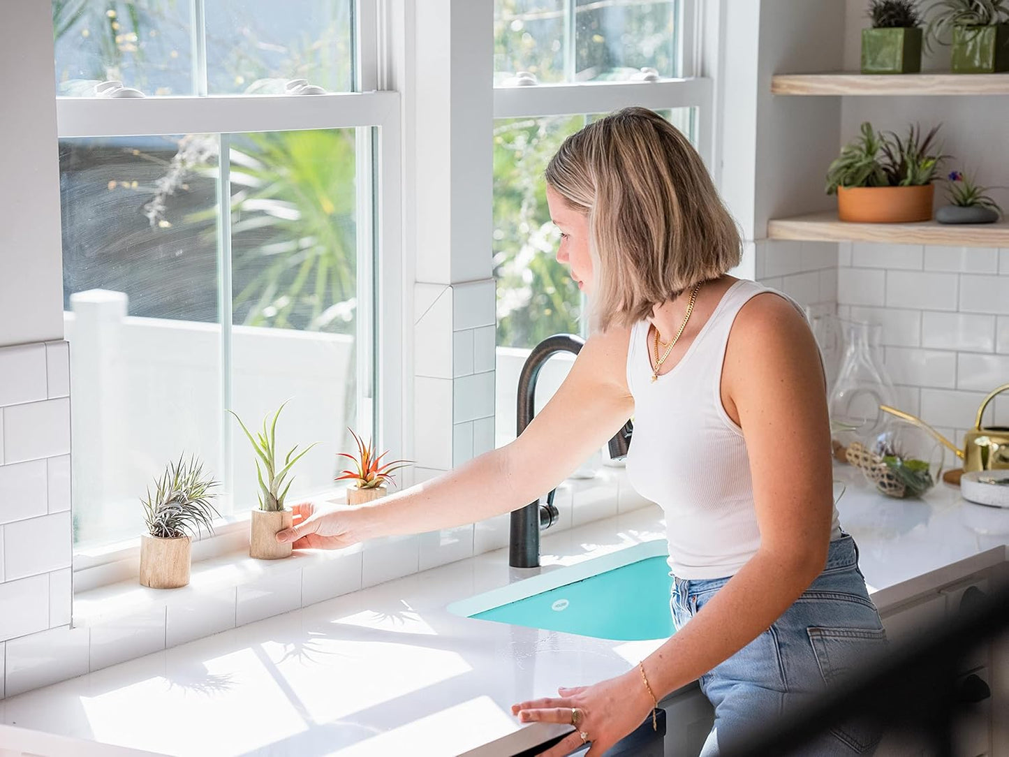 5 Pack Jumbo Air Plant Ionantha Guatemala 'Macho' - Live Tillandsia Succulent House Plants - Available in Wholesale and Bulk - Home and Garden Decor - Easy Care Indoor/Outdoor Air Plants