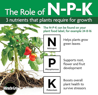 Miracle-Gro Tree & Shrub Plant Food Spikes, 12 Spikes (2-Pack)