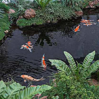 16 x 16 FT Pond Liner, 20 Mil Fish Pond HDPE Liner, Pond Liners for Outdoor Ponds, Koi Ponds, Garden Fountain, Waterfall