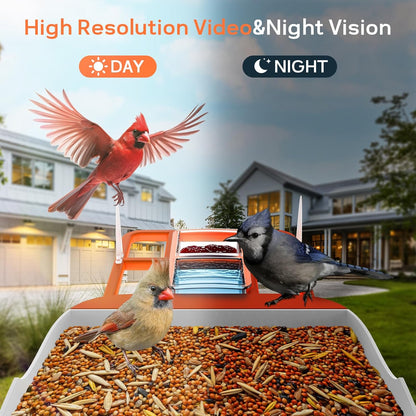 Smart Bird Feeder with Camera,Solar Powered Outdoor WiFi Birds House Camera with Built in AI Identification,Auto Cloud Recording,FHD Video, for Bird Watching,Parents,Orange