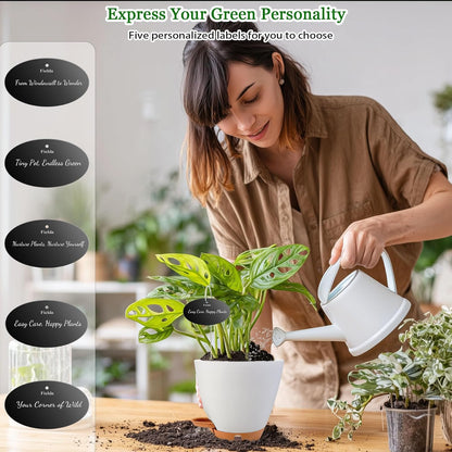 6 Inch Self Watering Pots for Indoor Plants (5-Pack) – Small Plastic Planters with Water Window, Drainage Holes & Trays, Indoor Outdoor Flower Pots for Herbs, Succulents, Home Garden Decor (White)