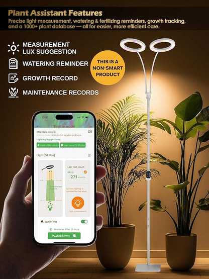 GLOWRIUM Grow Lights for Indoor Plants,Plant Light with 3/9/12/16H Grow Light Timer,2-Head 48W Full Spectrum LED Grow Light, 3 Lighting Mode and Stepless Dimming (White, 48W)