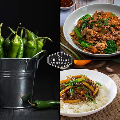 Mexican Serrano Pepper Seeds for Planting | Fresh Hot Chili & Green Hot Pepper Seeds – Heirloom Non-GMO Variety for Sauce, Salsa & Pickling – Survival Garden Seeds (5 Packs)