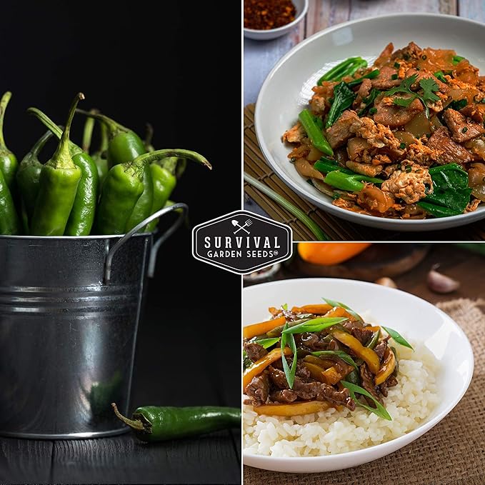 Mexican Serrano Pepper Seeds for Planting | Fresh Hot Chili & Green Hot Pepper Seeds – Heirloom Non-GMO Variety for Sauce, Salsa & Pickling – Survival Garden Seeds (2 Packs)