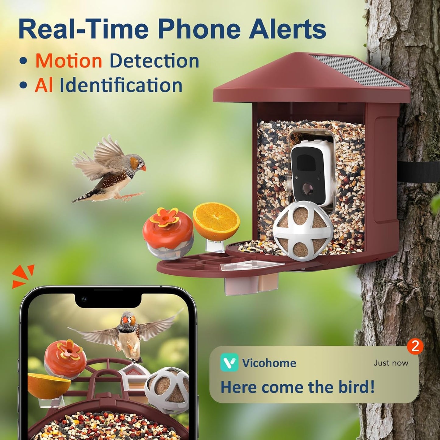 PeckCam® Bird Feeder with Camera with AI Identify 10000+ Birds Species, 3 Solar Panels, 2K Live View, Instant Arrival Alerts, Smart Bird House with Cam, Gift for Bird Lovers