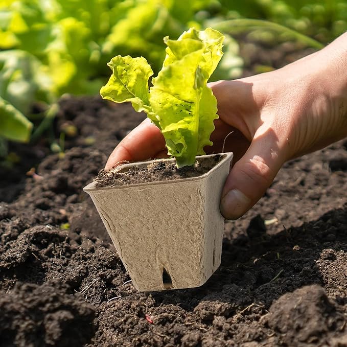 180 Pieces Peat Pots Plant Starters 2.3 Inch Square Peat Pots for Herb Seedlings Garden Germination Nursery Pots Organic Germination Plant Starter with Plant Markers Labels for Plants Supplies