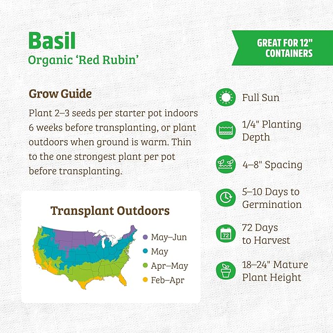 Back to The Roots 100% Organic Heirloom Seeds - Purple Red Basil Value Pack (600mg Total)