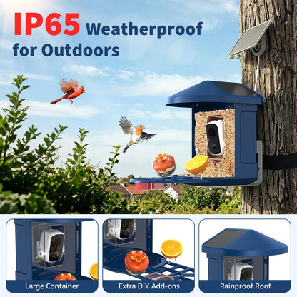PeckCam® Bird Feeder with Camera with AI Identify 10000+ Birds Species, 3 Solar Panels, 2K Live View, Instant Arrival Alerts, Smart Bird House with Cam, Gift for Bird Lovers