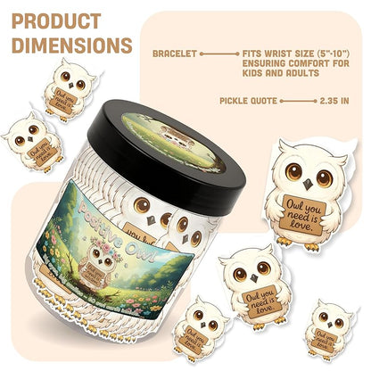 Positive Owl Jar With 60 Affirmation Cards – Emotional Support Owl Gifts For Women, Stress Relief And Daily Encouragement, Owl Themed Gifts, Positive Affirmations Cards, Office Decor For Women