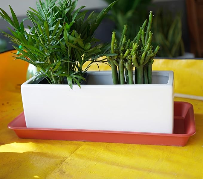 2 Pack Plastic Plant Saucer, Rectangular, Indoors Outdoor, Water Drip Tray for Flower Pot, Windowsill (6.5 X 13 Inch, Black)