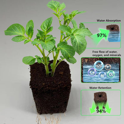 80Pcs Hydroponic Grow Sponges and 40Pcs Grow Baskets for Hydroponics Growing System，Ideal for NFT Systems，Seedling Starter Kit for Soilless Cultivation