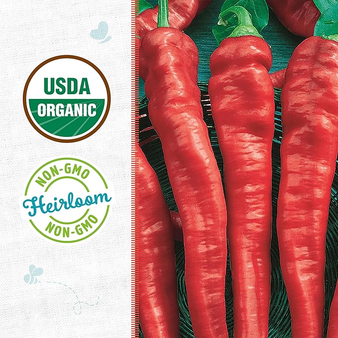 Back to The Roots 100% Organic Heirloom Seeds - Cayenne Chili Pepper Value Pack (280mg Total)