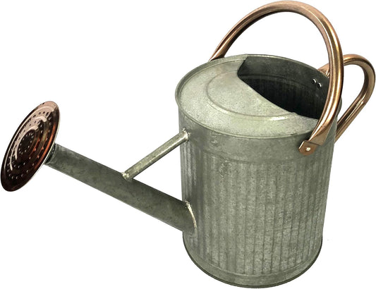 Gardener Select (W3006ZC-GCN-L7) Metal Watering Can - Modern Indoor & Outdoor Watering Pot with Handles for Flowers/Plants (7 Liter, Antique)