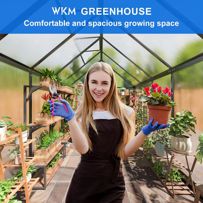 WKM 5.8x9.2 FT Greenhouse for Outdoors, Quick-fit Structure Green House with Window for Ventilation, Aluminum Greenhouse for Garden Backyard, Black