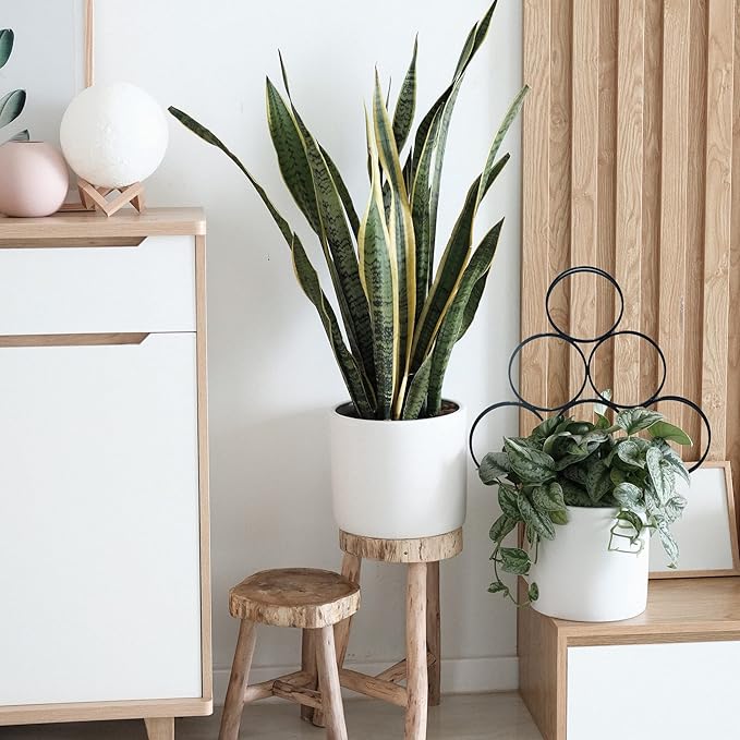 Trellis for Climbing Plants Indoor 15.7 Inch, Stackable Garden Trellis for Potted Plant Support, 3 Pack Small Houseplant Metal Wire Trellis for Vines Pothos Rose Monstera Accessories (Black)