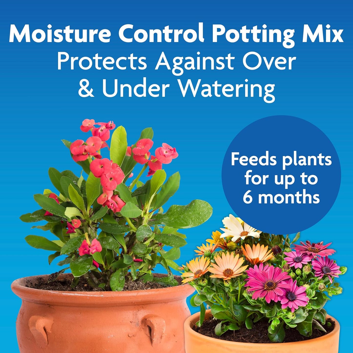 Miracle-Gro Moisture Control Potting Mix, For Container Plants, Protects against Over- and Under-Watering, 6 qt.