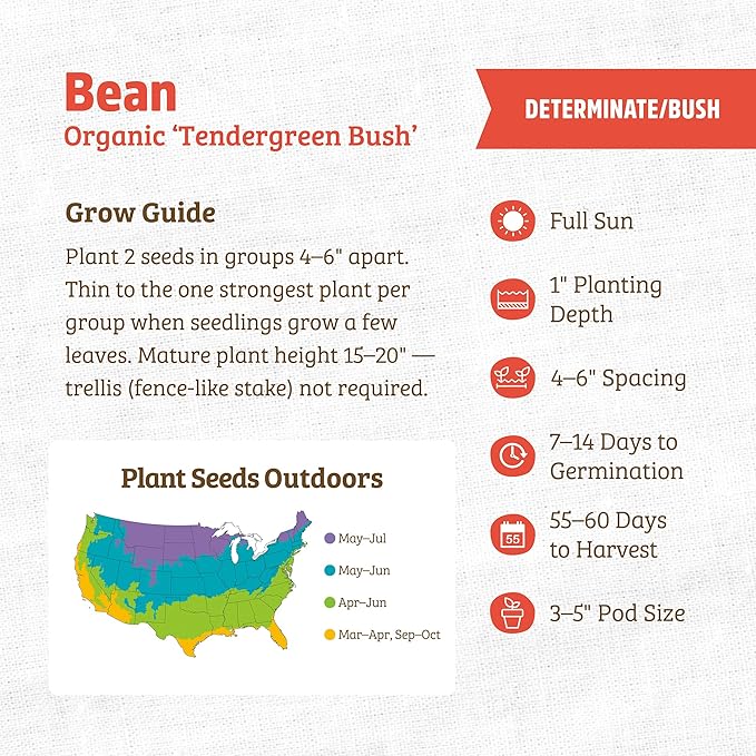 Back to The Roots 100% Organic Heirloom Seeds - Snap Bean Value Pack (16.8g Total)
