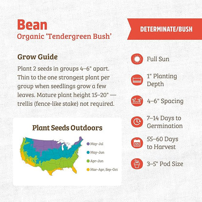 Back to The Roots 100% Organic Heirloom Seeds - Snap Bean Value Pack (16.8g Total)