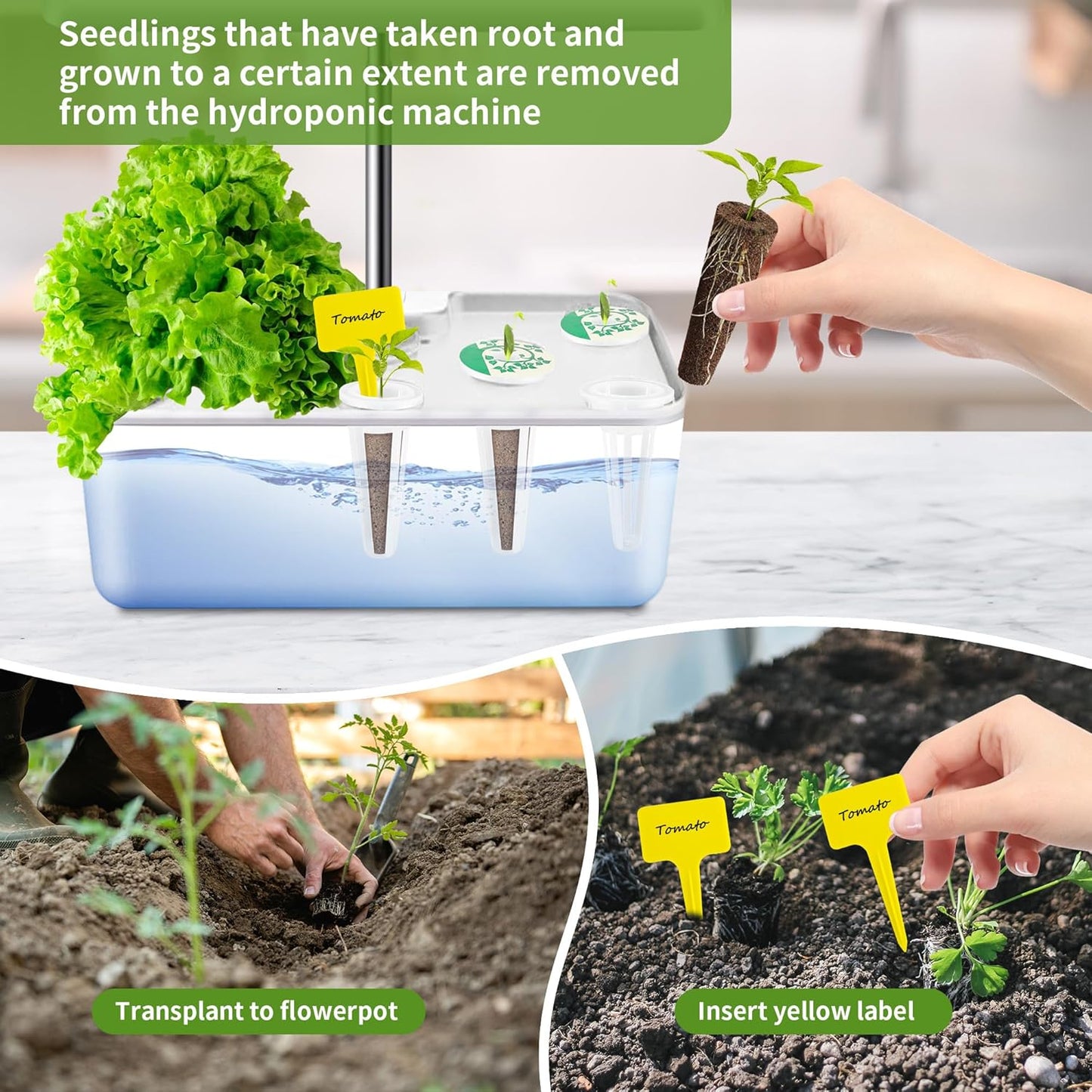 76 pcs Seed Pod Kit for Aerogarden,Grow Anything Kit for Indoor Hydroponics with 15 Grow Sponges 15 Pod Labels,15 Grow Baskets,15 Grow Domes,15 Tags,1 Tweezer.