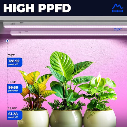 Barrina Grow Lights for Indoor Plants, Full Spectrum, 4ft 160W (8 x 20W), LED Grow Light Strip for Seed Starting, Greenhouse, Plug and Play, 8-Pack