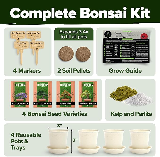 Bonsai Tree Kit 𝗨𝗦𝗔 Gifts for Men & Women - Grow 4 Bonsai Trees - Unique Gardening Crafts for Adults, DIY Hobbies for Plant Lovers & Gardeners - Unusual Christmas Gift Ideas for Mom & Dad