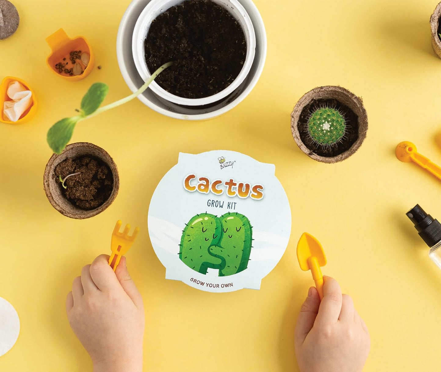 Buzzy Seeds Kid's Cactus Mini Basin Grow Kit | Green Painted Basin | Guaranteed to Grow | Fun Indoor-Outdoor Gardening Gift for Kids