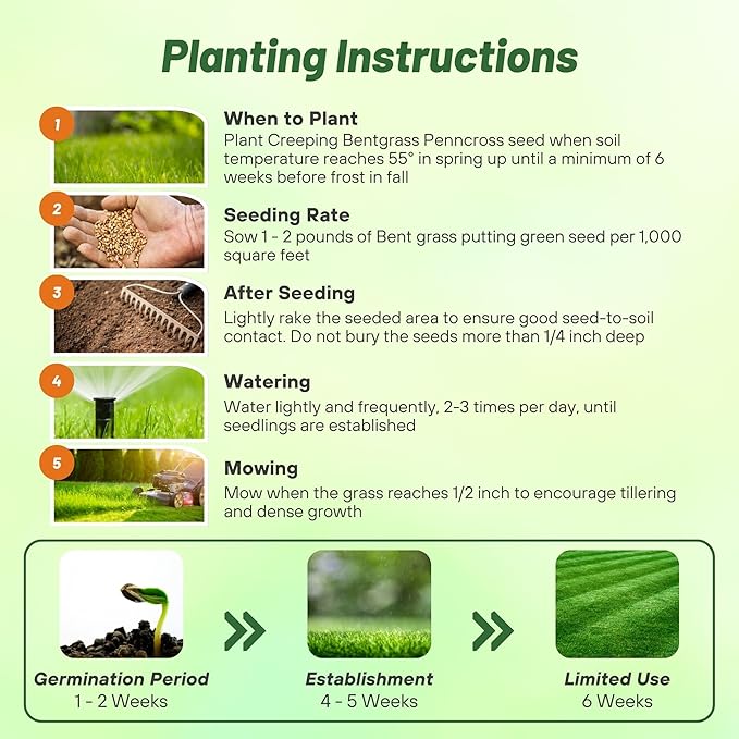 Outsidepride PC2.0 (Penncross) Creeping Bent Grass Seed – 25 lbs. Premium Golf Course Grade, Dense, Wear-Resistant Turf Grass Seeds for Tees, Putting Greens & Fairways, Ideal for High Traffic Areas