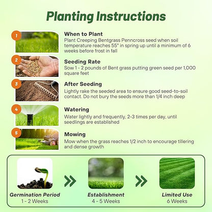 Outsidepride PC2.0 (Penncross) Creeping Bent Grass Seed – 25 lbs. Premium Golf Course Grade, Dense, Wear-Resistant Turf Grass Seeds for Tees, Putting Greens & Fairways, Ideal for High Traffic Areas