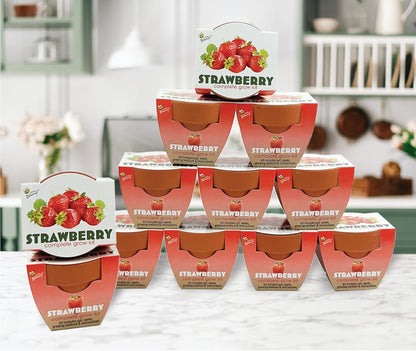 BUZZY Seeds Mini Terracotta Grow Pots | Alpine Strawberry DIY Plant Kit for Kids & Adults | 12-Pack Classic Collection | Indoor and Outdoor Planting, Wedding Favors, Gardening Gift