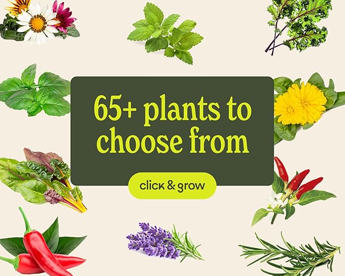 Click & Grow Indoor Herb Garden Kit with Grow Light | Smart Garden for Home Kitchen Windowsill | Easier Than Hydroponics Growing System | Vegetable Gardening Starter (3 Basil Pods Included), Sage