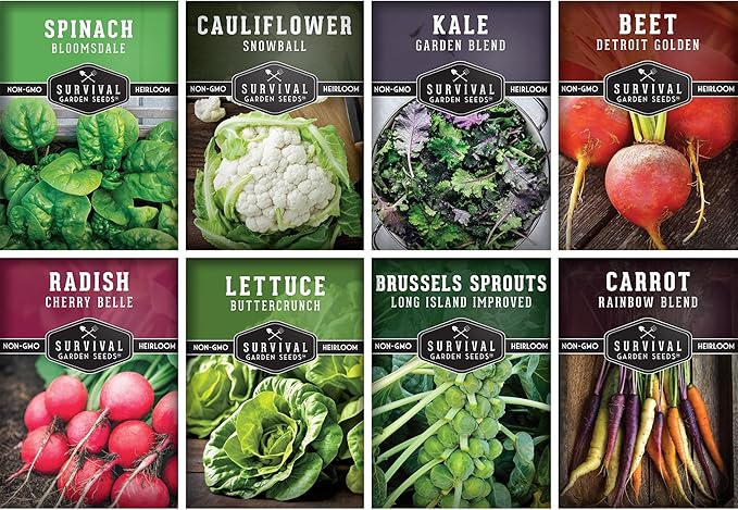 Fall & Winter Vegetable Seed Collection – 8 Packs of Non-GMO Heirloom Seeds for Planting Vegetables | Autumn & Indoor Gardening Seed Pack – Survival Garden Seeds