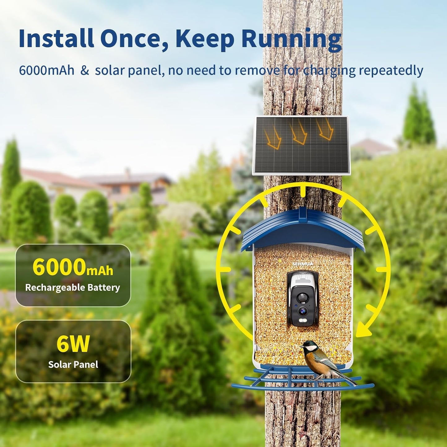 SEHMUA Bird Feeder with Camera, Solar Powered, AI Identify 10,000+ Species, Smart Bird Feeder with Live View, Ideal Present, 2.4GHz WiFi, Blue