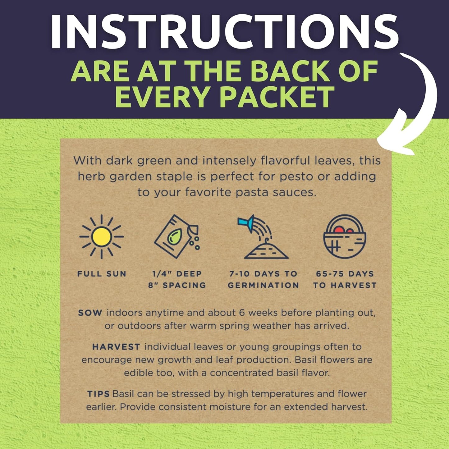 Organic Container Garden Seeds Variety Pack - 10 Individual Packs - 2025 Season - Ruquette arugula, Genovese Basil and More! for Indoor & Outdoor Planting (Non-GMO, Certified Organic)