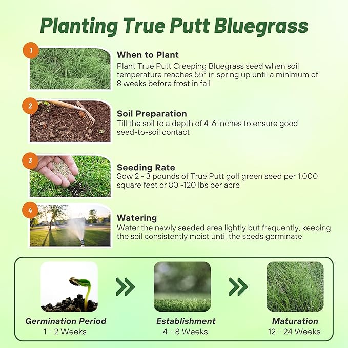 Outsidepride True Putt Perennial Creeping Bluegrass Seed - 5 Lbs. Shade-Tolerant Bluegrass for Golf Courses & Home Putting Greens - Ideal for Dense, Fine-Textured Lush Turf in Low-Light Areas