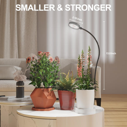 LED Plant Grow Light Clip on, Gooseneck 6000K Full Spectrum Growing Lamp for Indoor Desk Small Pots Plants, Dimmable with Timer 4 8 12 18Hrs 2 Pack