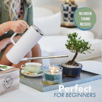 Garden Republic Medium Bonsai Tree Kit, Grow 3 Mini Bonsai Trees, Indoor Plant Growing - Starter Kit with Seeds, Soil, Planters & Shears, Gardening Gifts