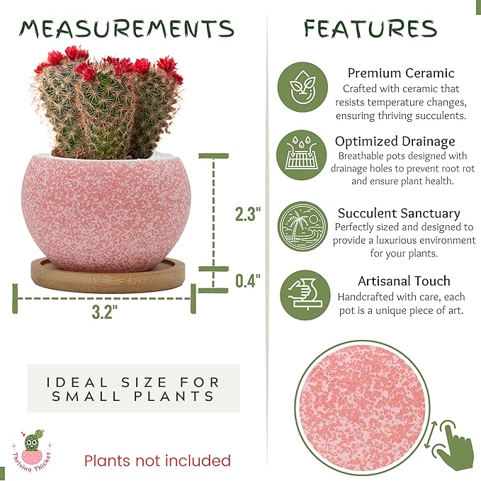 3 inch Ceramic pots for Plants, Small Succulent Pots Set with Drainage, 6 Pack Flower Pot for Indoor Plant, Planters for Little or mini Cactus 2 inches Plants (Pink/Purple)