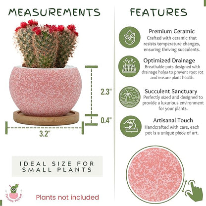 3 inch Ceramic pots for Plants, Small Succulent Pots Set with Drainage, 6 Pack Flower Pot for Indoor Plant, Planters for Little or mini Cactus 2 inches Plants (Pink/Purple)