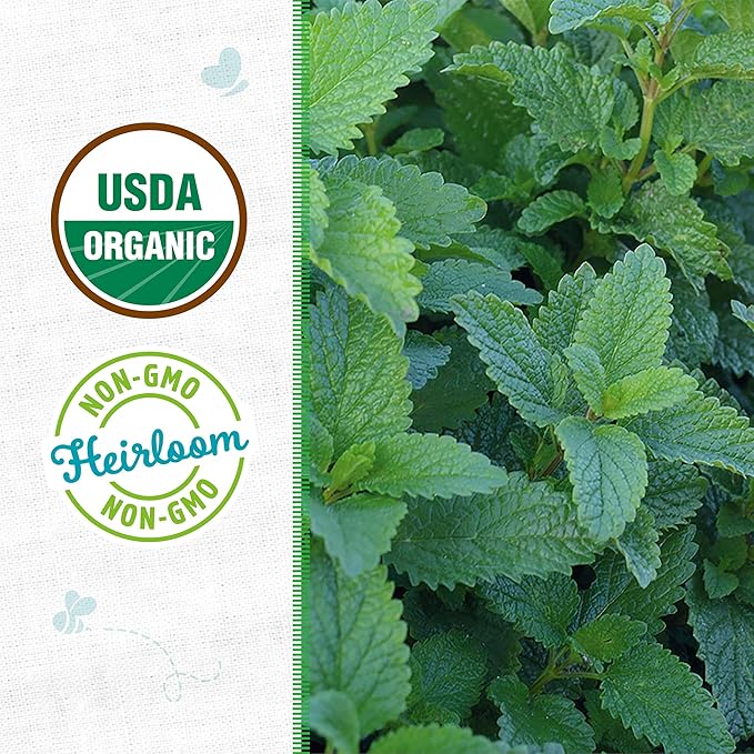 Back to The Roots 100% Organic Heirloom Seeds - Lemon Balm 'Melissa Officinalis' Value Pack (280mg Total)